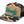 Blue Wing Teal