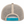 Lowland Teal